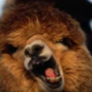 爱喝果茶的小辰