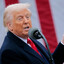 Tariff Boy