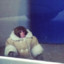 ikea monkey