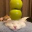 GOOOBER