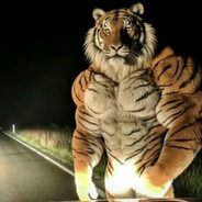 错的不是世界，是我羲