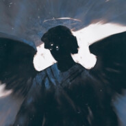 来去都是自由风