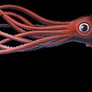 Squid - steam id 76561197965748127