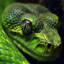 Belgorod green snake