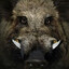 Hennes