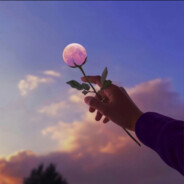 我的小鹿撞死了