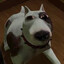 totadog