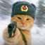 最強伝説と絕兇の猛虎