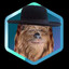 jewbacca