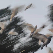 虽然很难但还是出来了