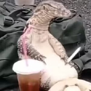 西伯利亚泰坦巨龙