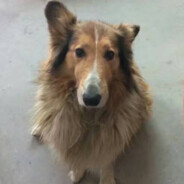 𝓢𝓛𝓚𝓨 | 六个咊洮