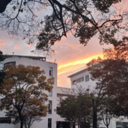 倒得越快 射得越快