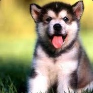 Big Avatar