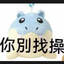 一颗海豹球