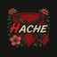 Hache