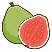 0guava0 SKINS