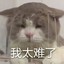Qwww