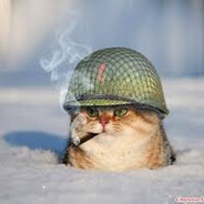 ❅пьяный котик❅