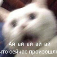 恰烂分的小菇凉