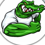 ALIGATOR_ISLAM