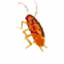 pest