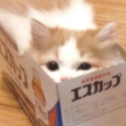 GoodmeSnowToppedMousse（IP属地：英格兰）