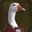 SirGoose3432