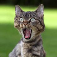 TrunK "Soy Merienda"