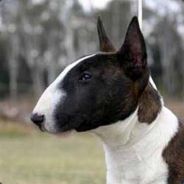 Sieve117 - steam id 76561197970973350
