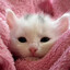 Pinky