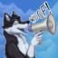 Dizzy the Husky