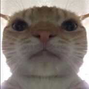 ....