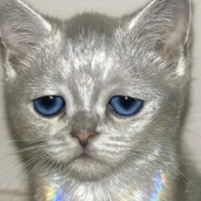 ---下等马分界线---