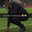 FOOTBALL MANAGER MAIN