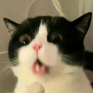 又双叒叕白给啦