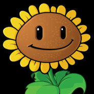 能冲向日葵
