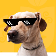 Cachorro