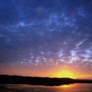 芋芋芋芋芋芋头