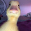 AAAAAAAAAAA