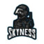 SkyNess_Gaming