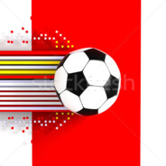 甲府风林体能教练