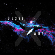 OB3SE WHALE