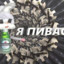 Yapivasik