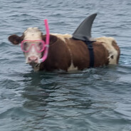 Scuba Dave