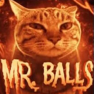 [Mr. BALLS]