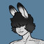 frazzyfox