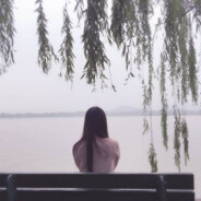 万古纯情柳如烟