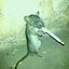 Just_SmokingMouse