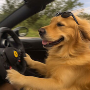 害羞內向不愛講話